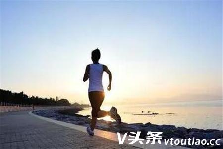 跑步减肥是晨跑还是夜跑效果更好