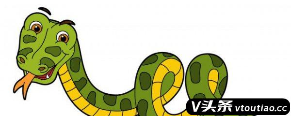 四脚蛇是国家几级保护动物 四脚蛇是不是保护动物