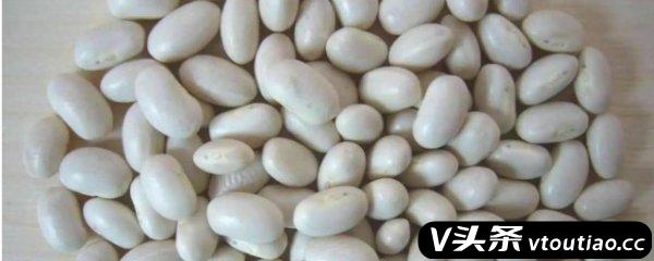 白芸豆怎么吃减肥最佳 白芸豆如何吃减肥