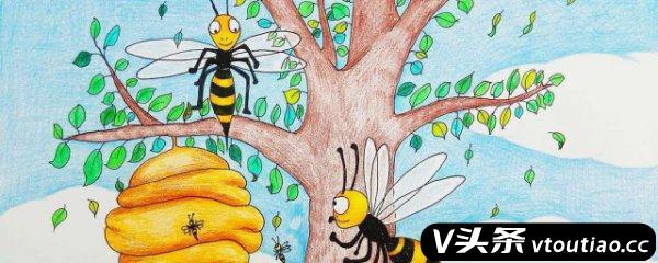 马蜂是昆虫还是动物 马蜂的天敌是什么动物