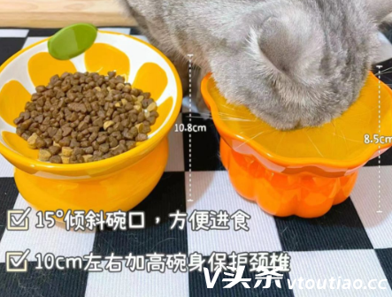 猫咪为什么要用陶瓷碗？Mamypets宠物陶瓷碗怎么样